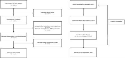 U-shaped association between dietary niacin intake and chronic kidney disease among US elderly: a nationwide cross-sectional study